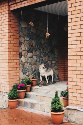Lodge Volkov House