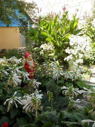 Hostal Guesthouse Novosolov