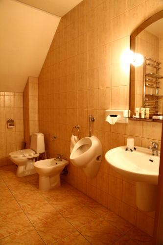 Hotel Zoloto Karpat