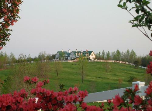 Bed & Breakfast The Red Horse Inn