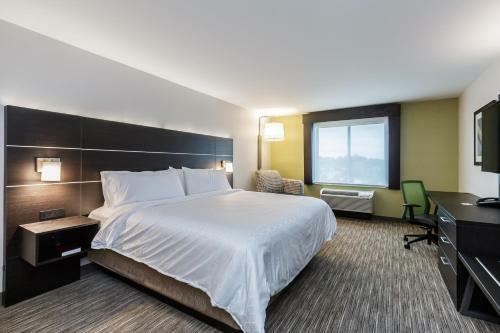 Hotel Holiday Inn Express & Suites South Bend - South