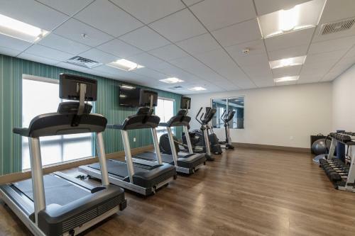 Hotel Holiday Inn Express & Suites South Bend - South