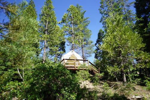 Shaver Lake Village Hotel