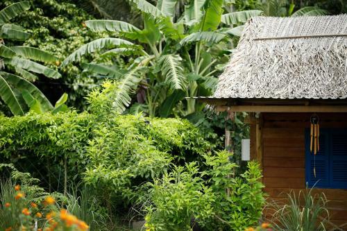 Bed & Breakfast Coco Land Homestay