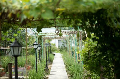 Bed & Breakfast Coco Land Homestay