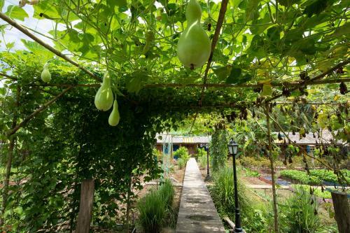 Bed & Breakfast Coco Land Homestay