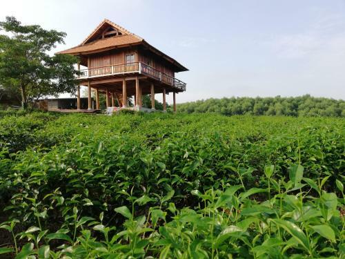 Hotel Gio Lao Eco Lodge
