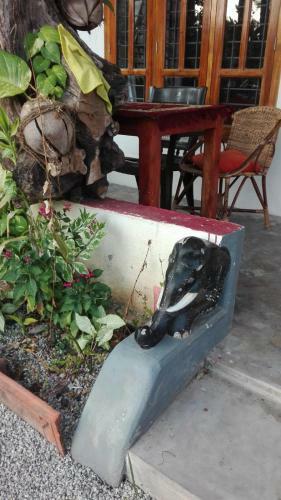 Hotel Thathamma Homestay