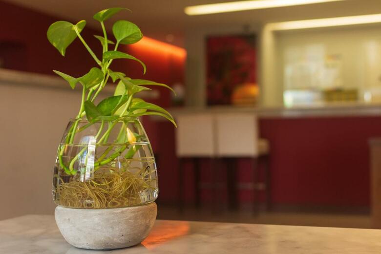 1412 Hotel Boutique De Lujo