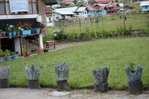Vamoosetrail Ziro