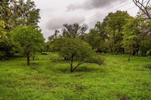 Agroturismo Saffronstays Firdaus Baug