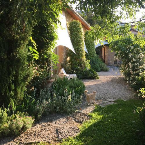 Lodge Calvenere