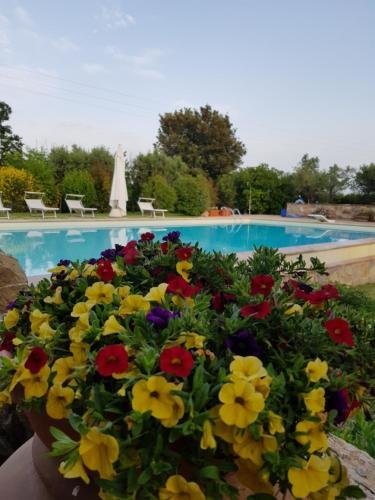 Borgo Carige Villa Sleeps 8 Pool Wifi