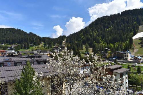 Apartamento Ville Dolomiti Appartamento