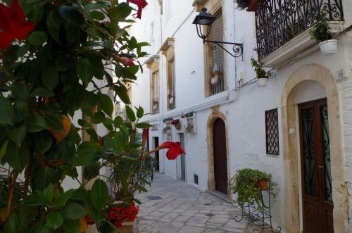 Hostal UNA Volta A Martina