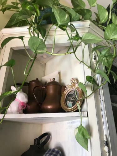 Apartamento Marie Antoinette