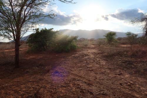 Sagala Lodge
