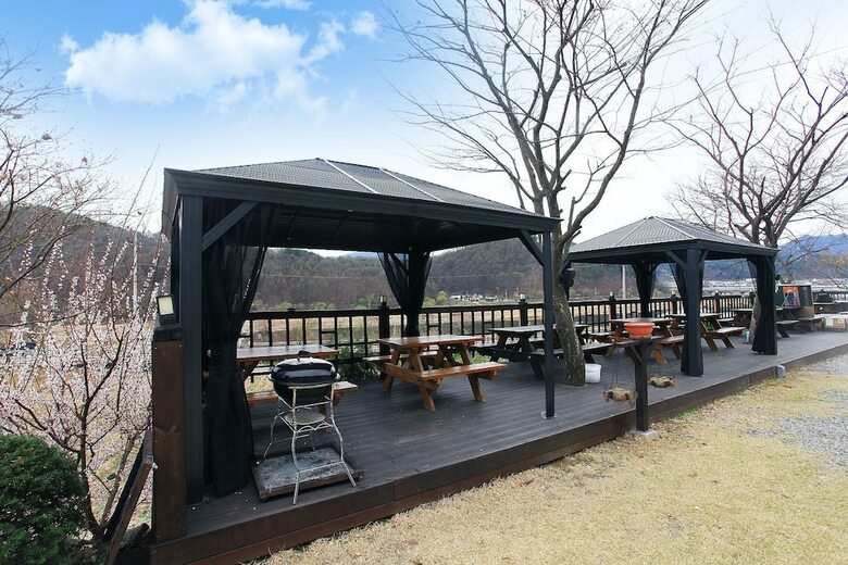 Forest Of Color Pension