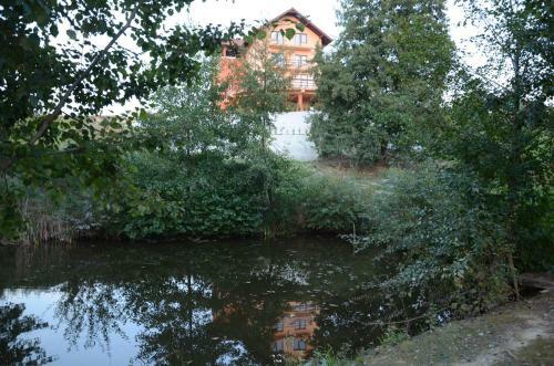 Hostal Pensiunea Laleaua Pestrita