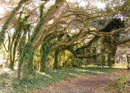 Coastal Cravings On St. Helena Island