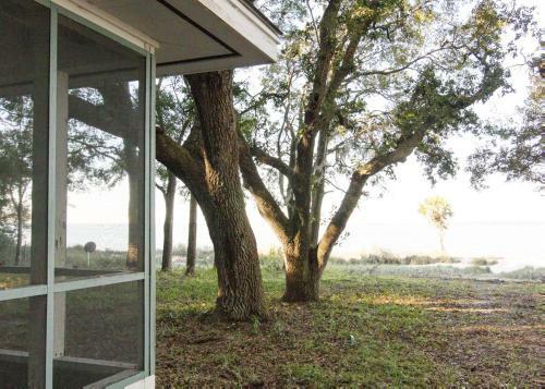 Coastal Cravings On St. Helena Island