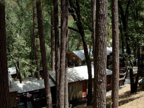 Lodge Yosemite Bug Rustic Mountain Resort