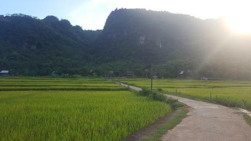 Mai Chau Family Homestay