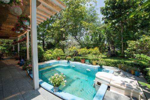 Wooden Unique Villa
