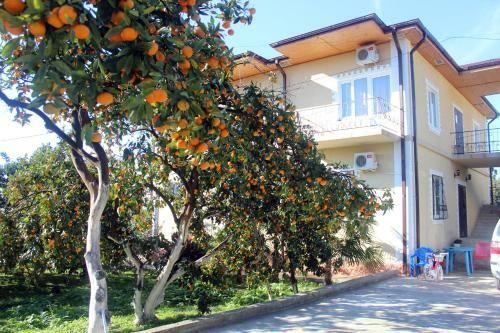 Hotel Guest House Divny Sad