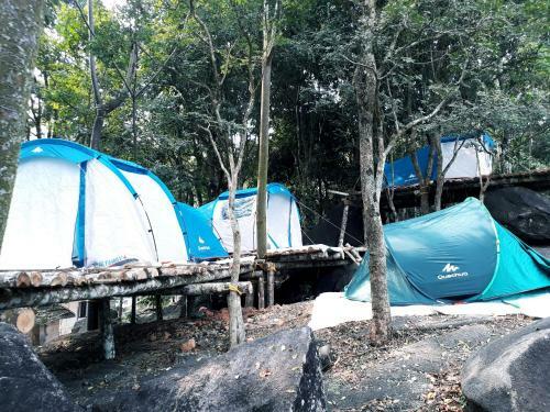 Evergreen Tent Stay & Trekking