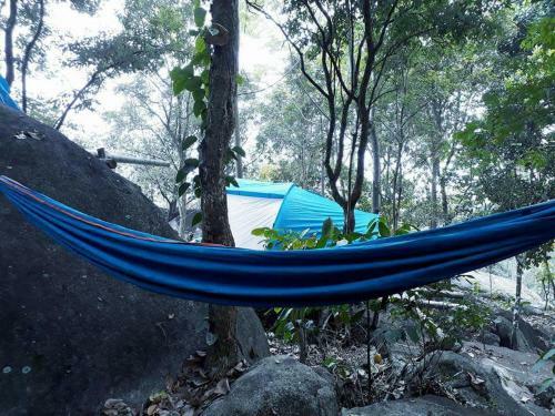 Evergreen Tent Stay & Trekking