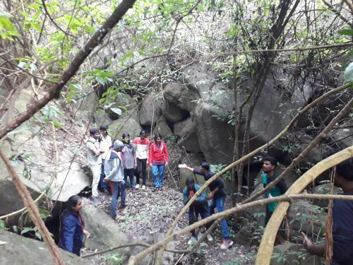 Evergreen Tent Stay & Trekking
