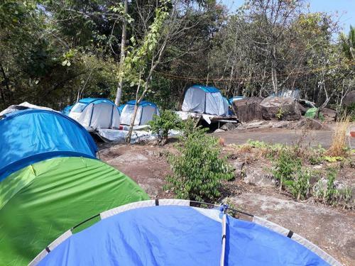 Evergreen Tent Stay & Trekking