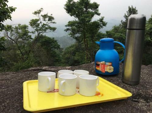 Evergreen Tent Stay & Trekking