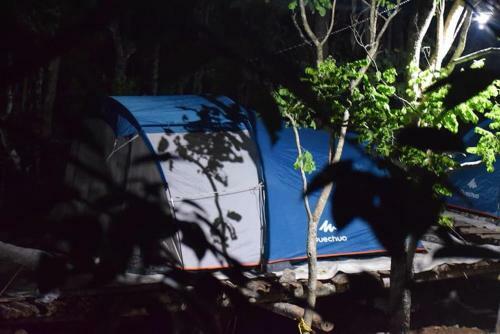 Evergreen Tent Stay & Trekking