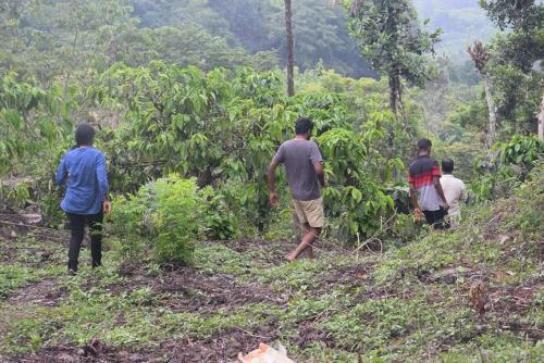 Evergreen Tent Stay & Trekking