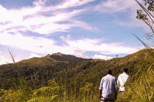 Evergreen Tent Stay & Trekking