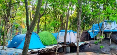 Evergreen Tent Stay & Trekking