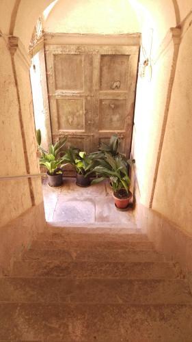 Apartamento Casancestrale 1828