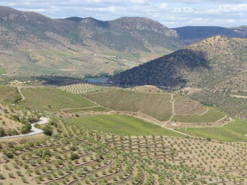 Agroturismo Casa Das Castas Wine Guesthouse