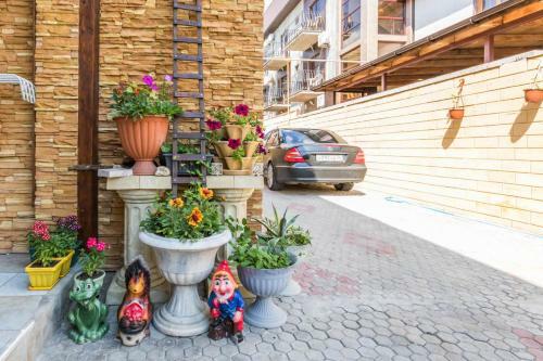 Hostal Guest House Agina