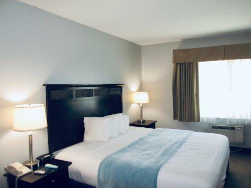 The Avenue Hotel