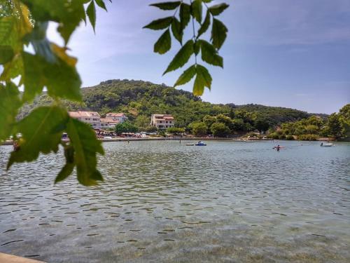 Apartment Supetarska Draga 2
