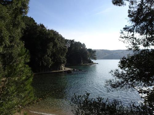 Apartment Supetarska Draga 2