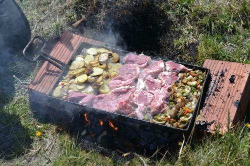 Camping Y Hostal El Ovejero
