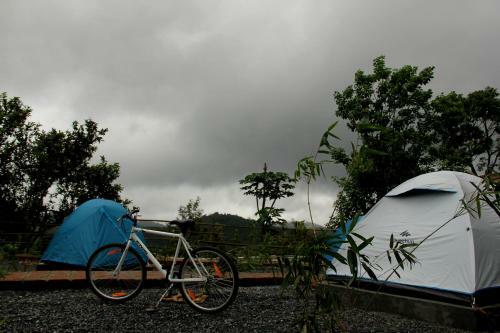 Hotel Jungle Edge Resort By Nectar Experience