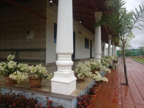 Bougainvillea Homestay