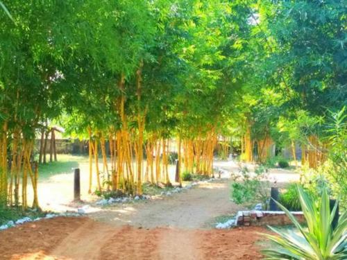 Hotel Royal Bamhni Holiday Resort