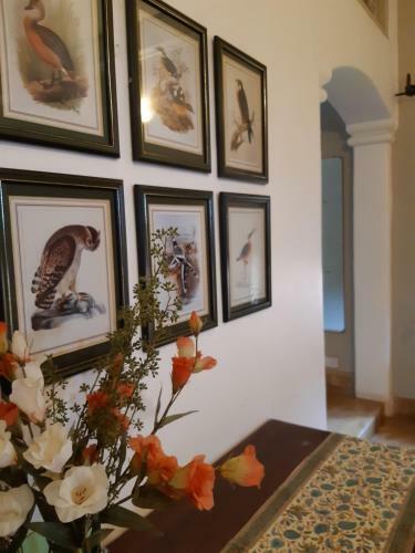 Hostal Capella