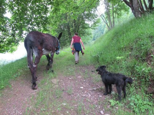 Agroturismo Meiro Di Choco
